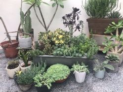 -禧园Joyous Garden ·宴会厅(禧园店)