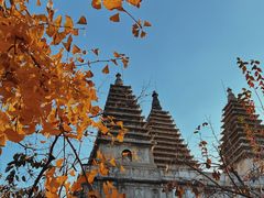 -北京石刻艺术博物馆(五塔寺)