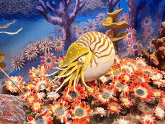 -国家自然博物馆