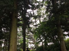 -庐山风景区花径公园