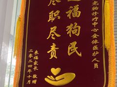-美美宠物诊疗中心·异宠·骨科(滨江东信分院)