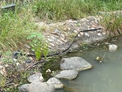 -苏州河梦清园环保主题公园