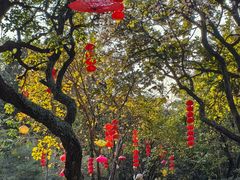 -桃花涧