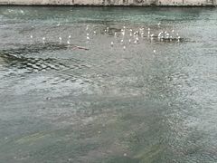 -望江楼公园