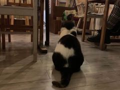 大堂-海边的猫和咖啡馆