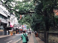 -九龙公园
