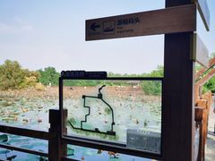 -大湾区中央湿地公园