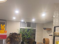 -伟伟宠物医院·CT影像中心·瑞派犬猫综合性门诊(汉口总院)