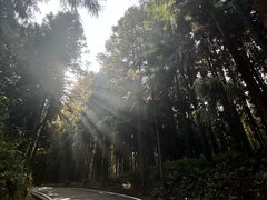 -山王坪喀斯特国家生态公园