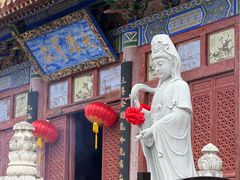 -中原大佛景区