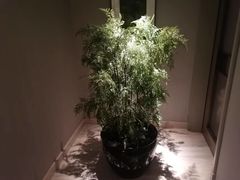 -浅深(世茂滨江精品店)