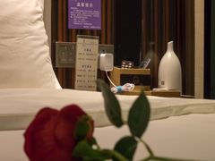 -麗枫酒店(成都理工大学地铁站店)