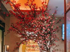 -觅唐MITONG(鸟巢店)
