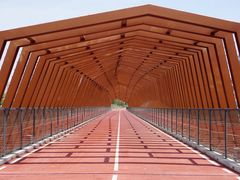 -白鹭湾湿地公园