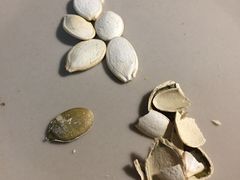-王老头炒货(天坛东路店)