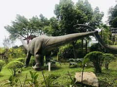 -自贡恐龙博物馆