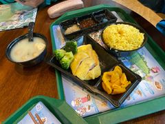 海南鸡饭-雨林餐厅(长隆海洋王国店)