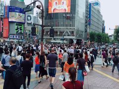 -涩谷全向十字路口