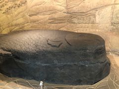 -白鹤梁水下博物馆