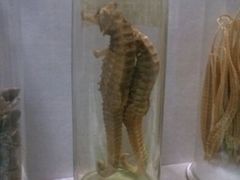 android_upload_pic-广东中医药博物馆