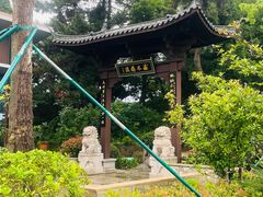 -平湖九龙山旅游度假区