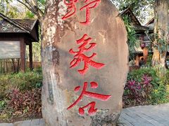 -野象谷景区