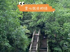 -宁波市保国寺古建筑博物馆