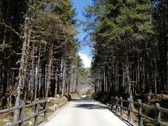 -石棉县孟获城