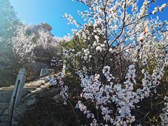 -北京凤凰岭