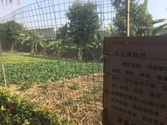 -长廊欢乐园