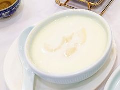 花胶炖水牛奶-和乐喜点(宝岗大道店)