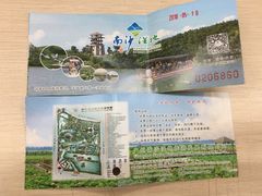 -大湾区中央湿地公园