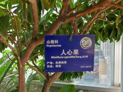 -国家植物园南园