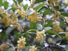 -蜀冈西峰生态公园