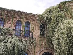-府河摄影公园