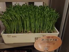 -湊湊火锅·茶憩(打浦桥日月光店)