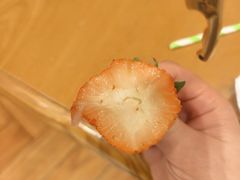 -禾斗海鲜自助(城阳宝龙店)