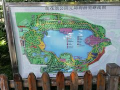 -莲花池公园