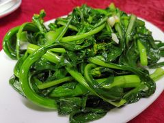 清炒菜心-蛇口康乐快餐鱼仔档(翠苑小区店)