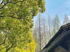 -乌镇东栅景区