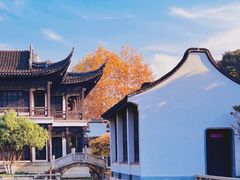 -红梅公园