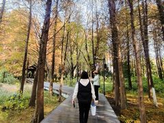 -溱湖国家湿地公园