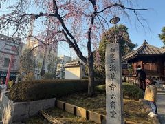 -浅草寺