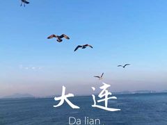 -大连圣亚海洋世界