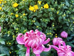 -国家植物园