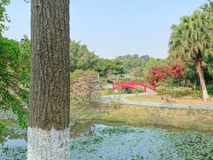 -东莞植物园