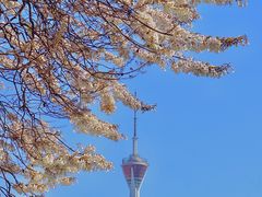 -红星桥(地铁站)