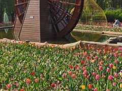 -长春公园(普阳街道)