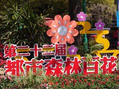 -上海共青森林公园