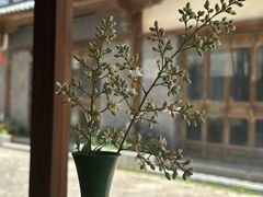 -陀岗美食·云南藏式特色餐厅